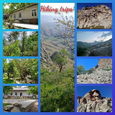 Forest Guest House Mirzakishlak المظهر الخارجي الصورة