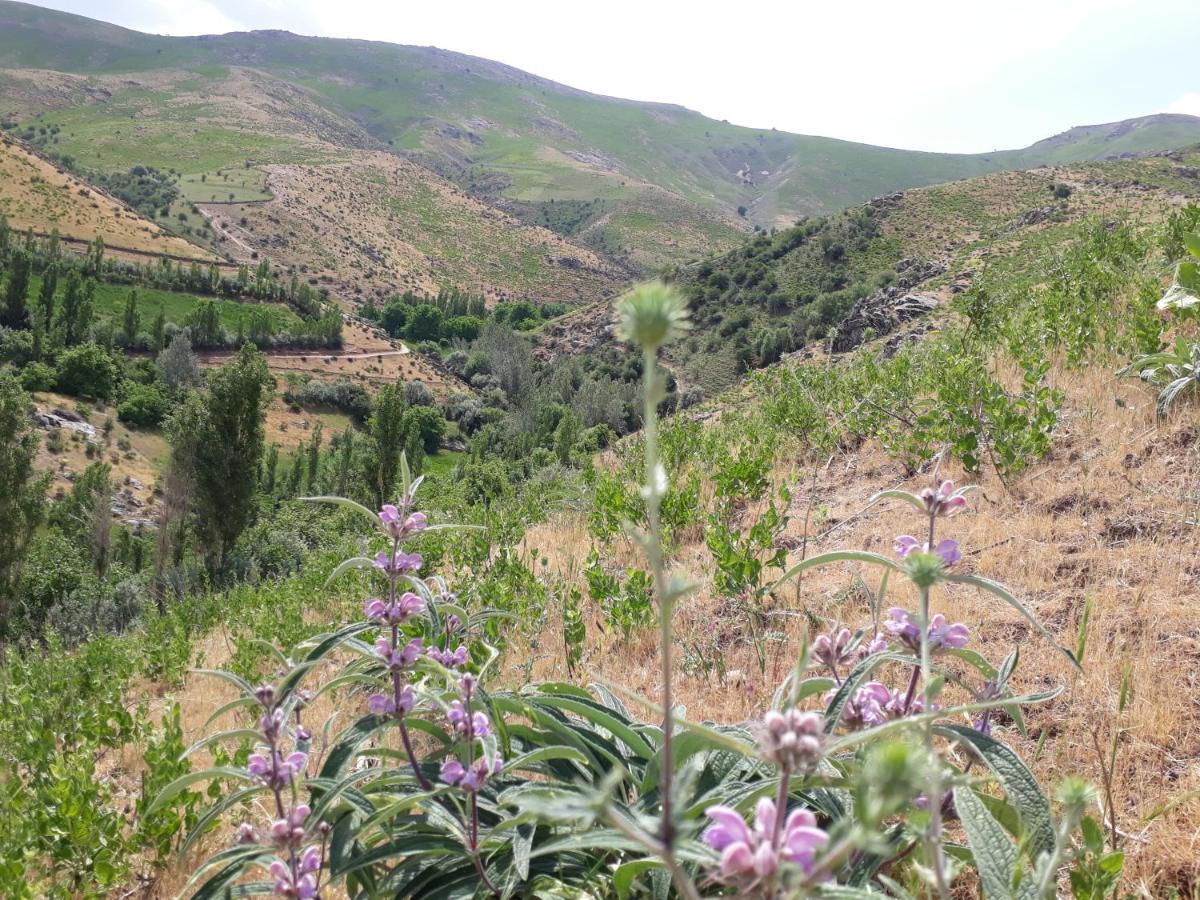 Forest Guest House Mirzakishlak المظهر الخارجي الصورة