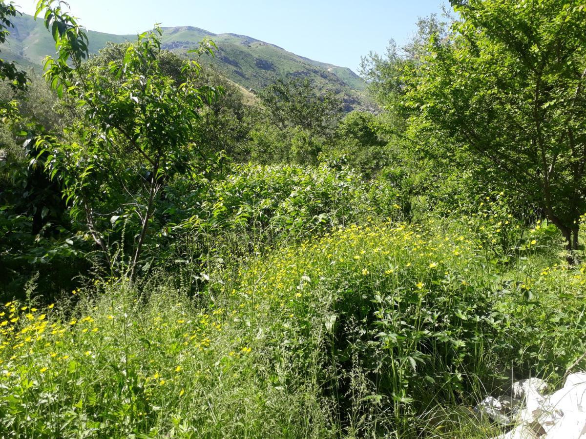 Forest Guest House Mirzakishlak المظهر الخارجي الصورة