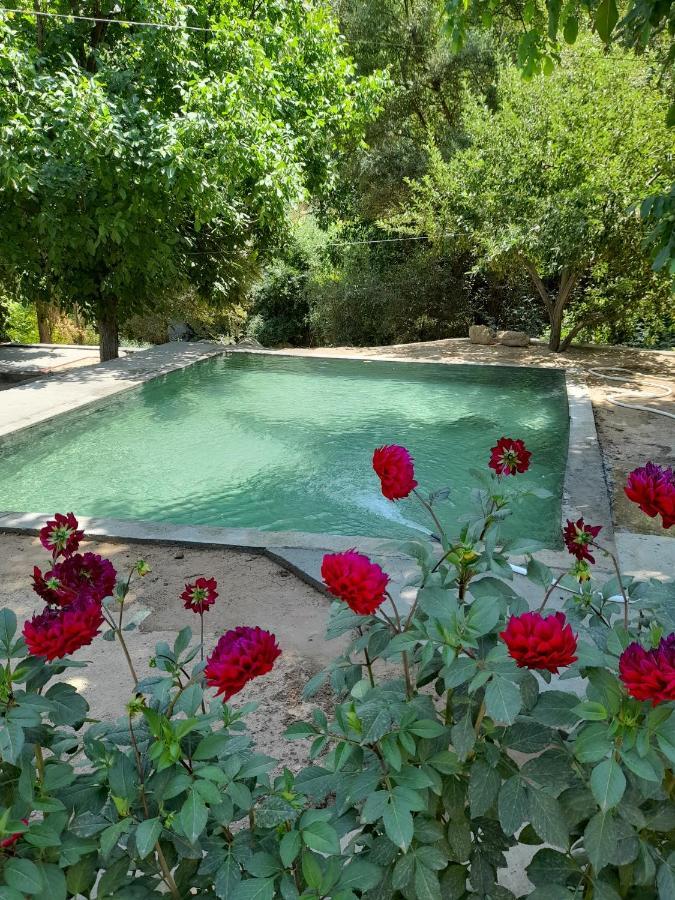 Forest Guest House Mirzakishlak المظهر الخارجي الصورة