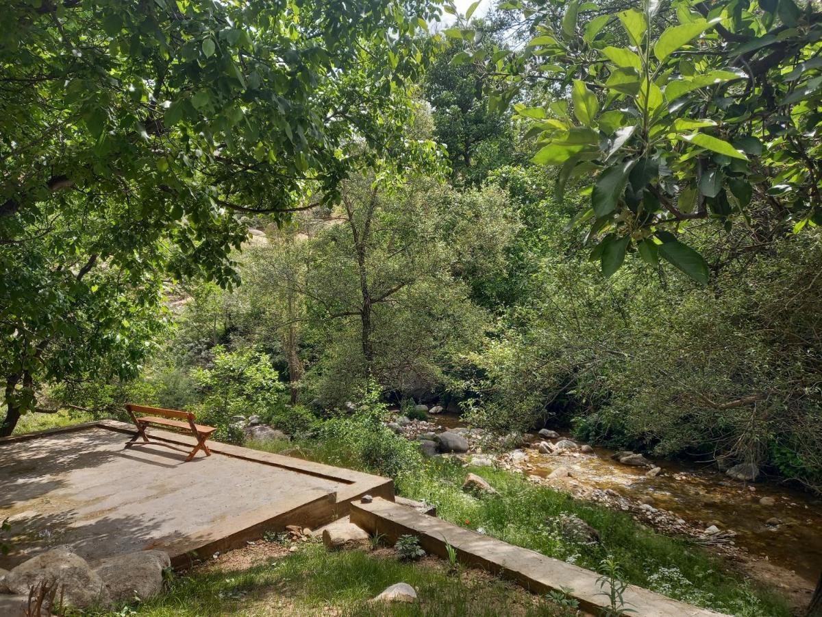 Forest Guest House Mirzakishlak المظهر الخارجي الصورة