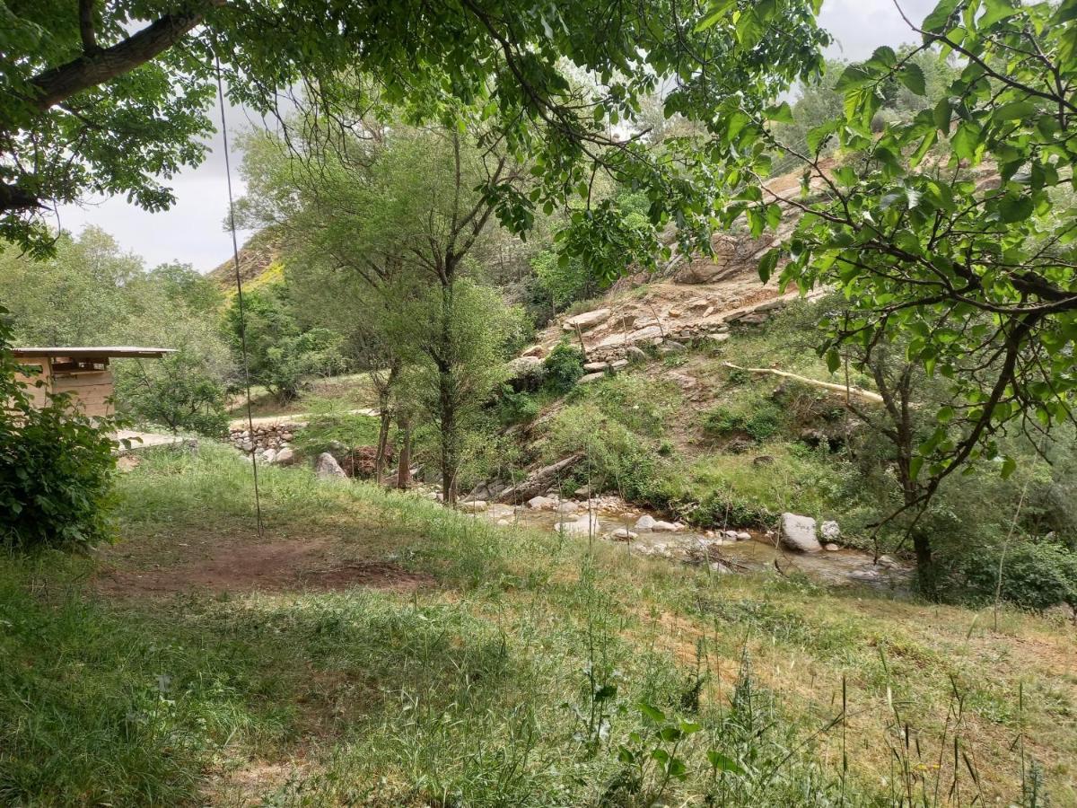 Forest Guest House Mirzakishlak المظهر الخارجي الصورة