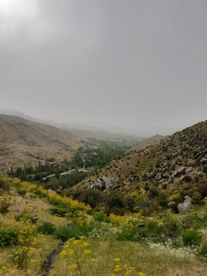 Forest Guest House Mirzakishlak المظهر الخارجي الصورة