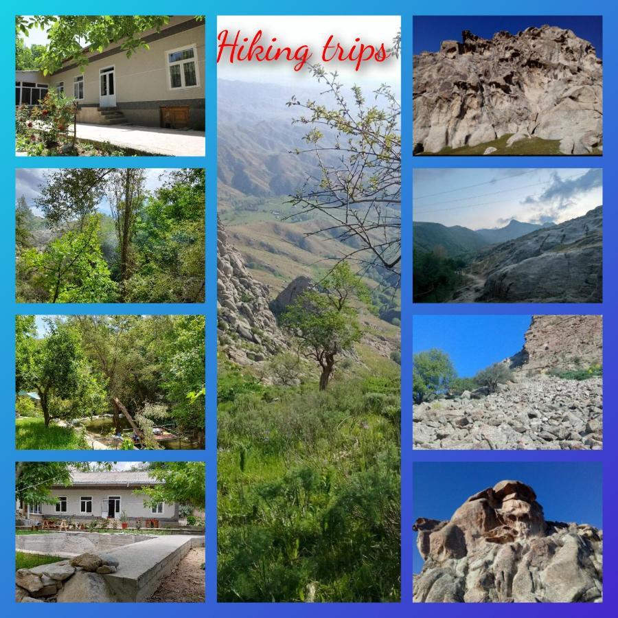 Forest Guest House Mirzakishlak المظهر الخارجي الصورة
