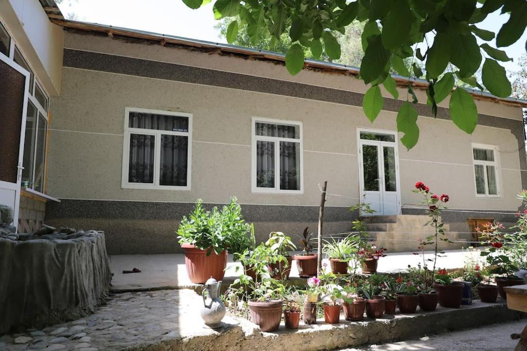 Forest Guest House Mirzakishlak المظهر الخارجي الصورة