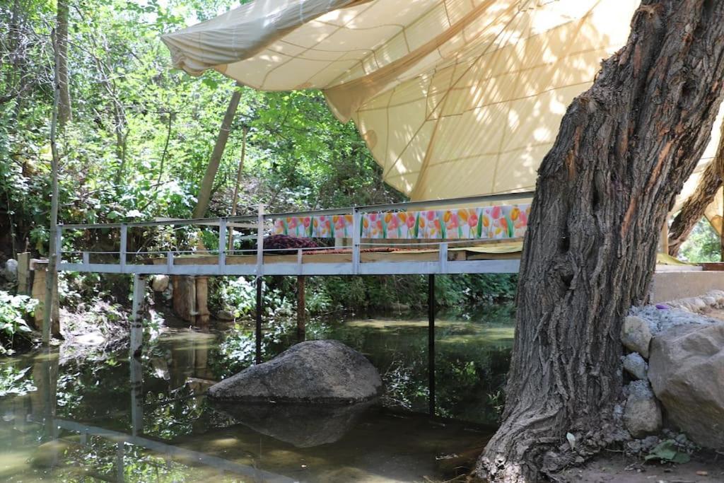 Forest Guest House Mirzakishlak المظهر الخارجي الصورة