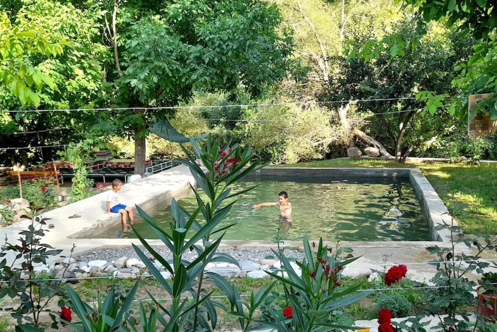 Forest Guest House Mirzakishlak المظهر الخارجي الصورة