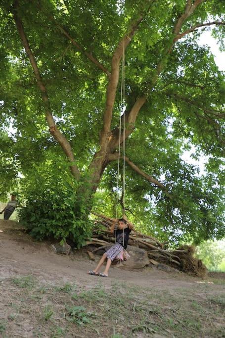 Forest Guest House Mirzakishlak المظهر الخارجي الصورة